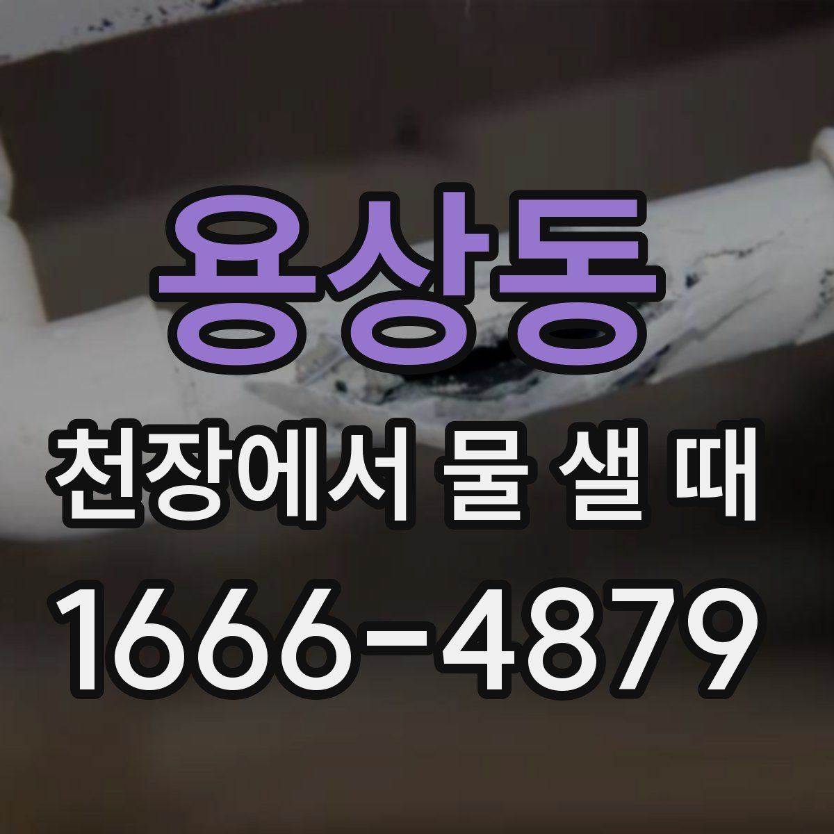 용상동 천장에서 물 샐 때