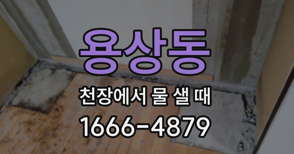 용상동 천장에서 물 샐 때