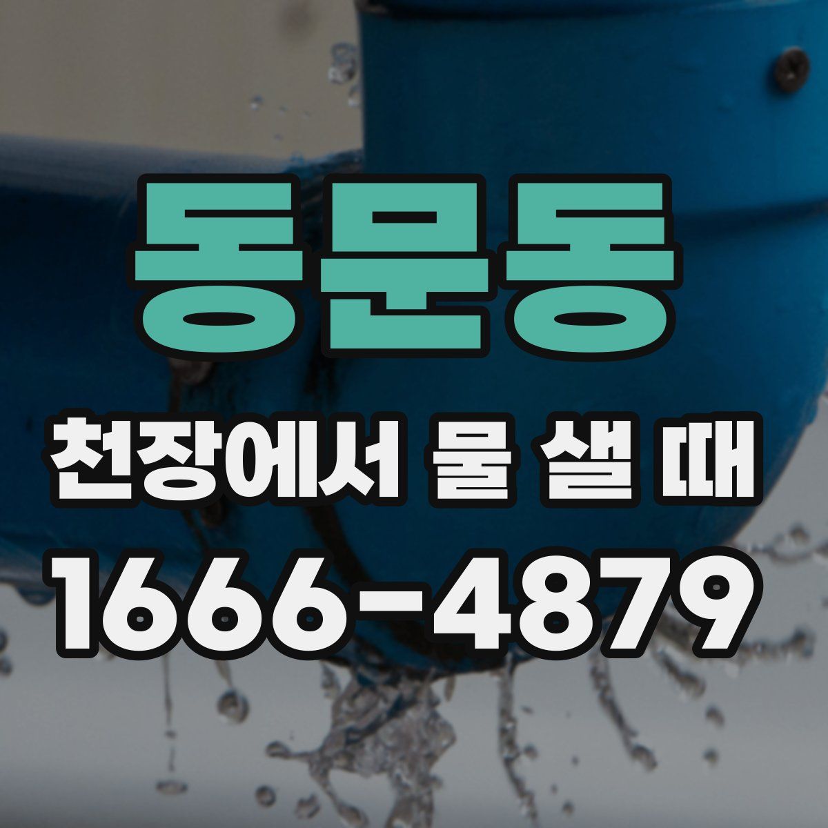 동문동 천장에서 물 샐 때