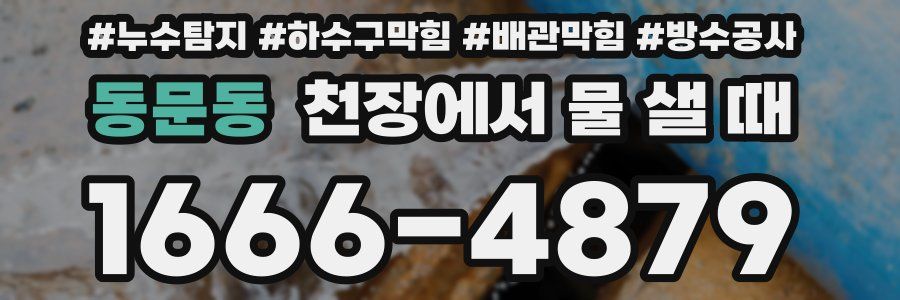 동문동 천장에서 물 샐 때