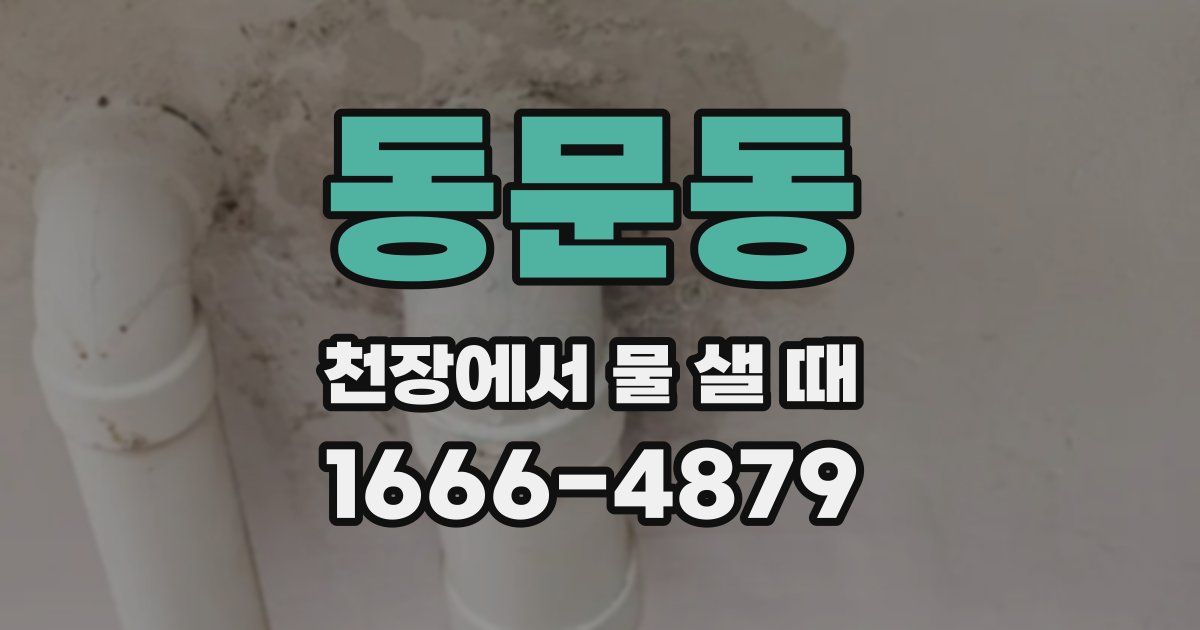 동문동 천장에서 물 샐 때