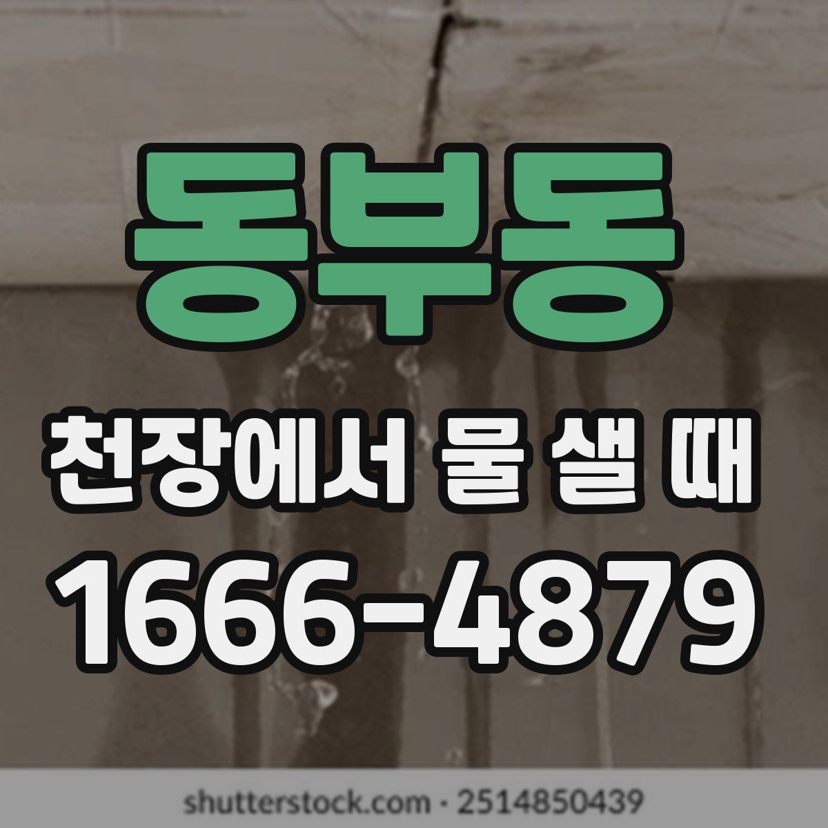 동부동 천장에서 물 샐 때