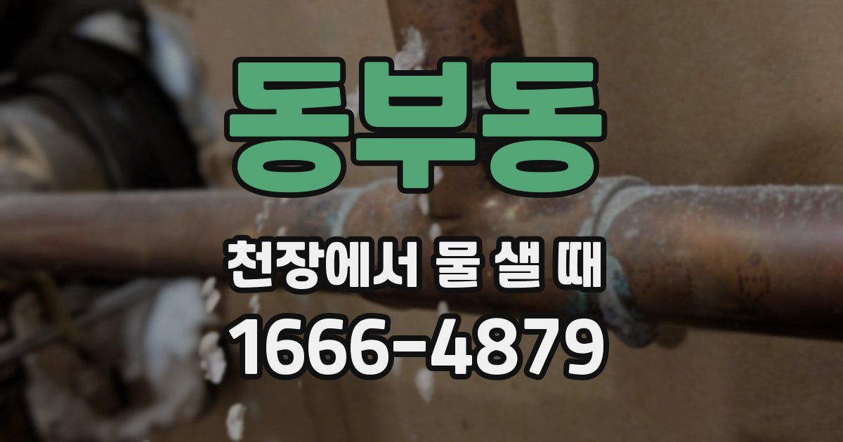 동부동 천장에서 물 샐 때