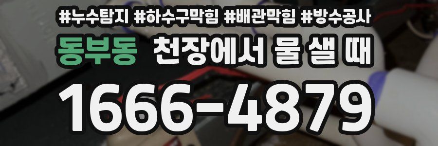 동부동 천장에서 물 샐 때