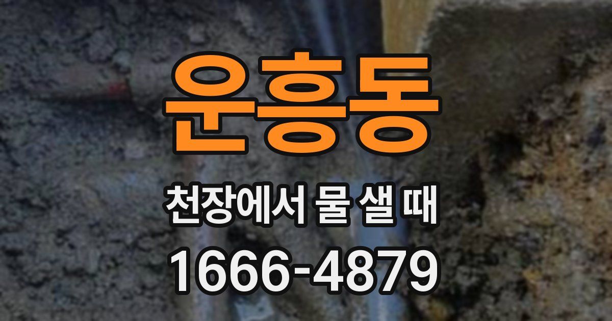 운흥동 천장에서 물 샐 때