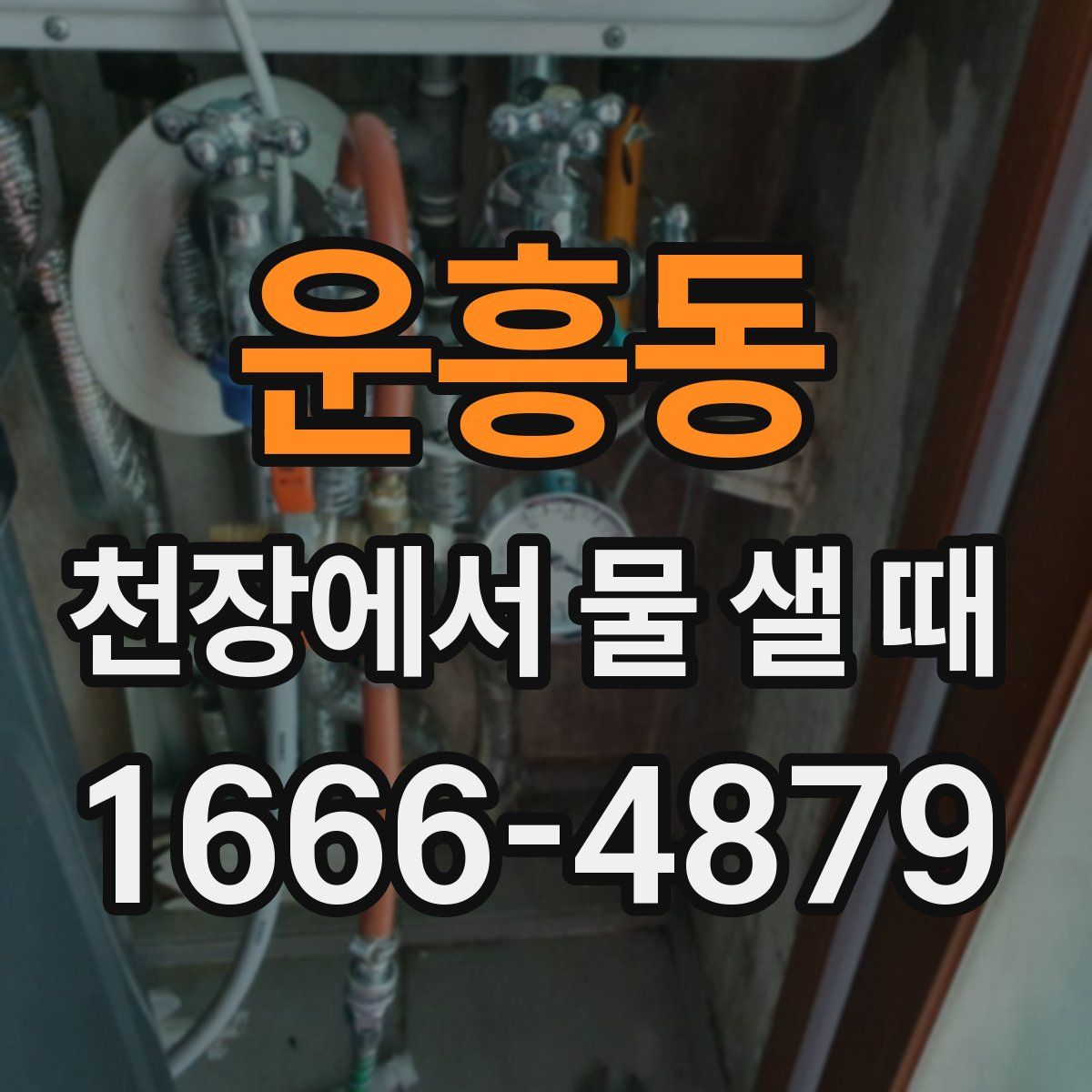 운흥동 천장에서 물 샐 때