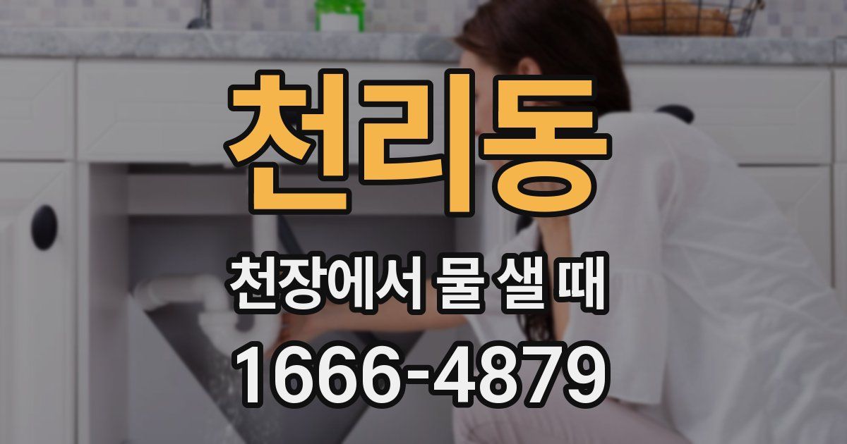 천리동 천장에서 물 샐 때