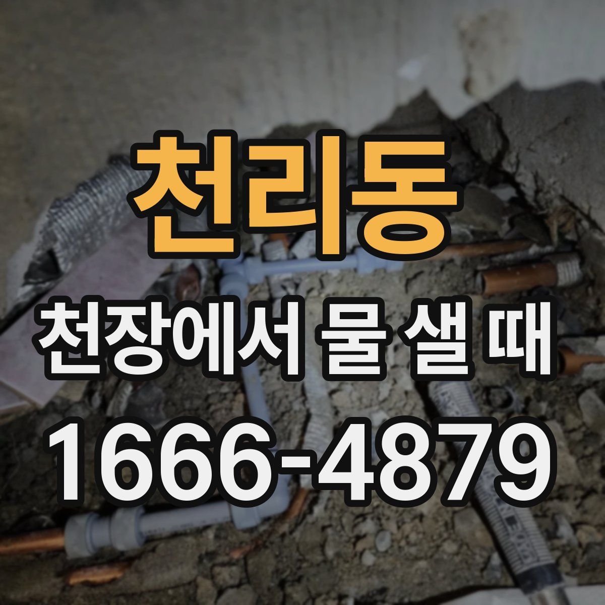 천리동 천장에서 물 샐 때