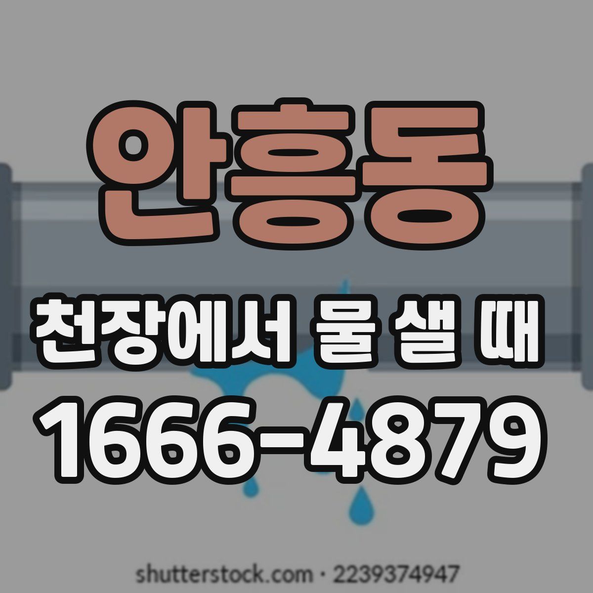 안흥동 천장에서 물 샐 때