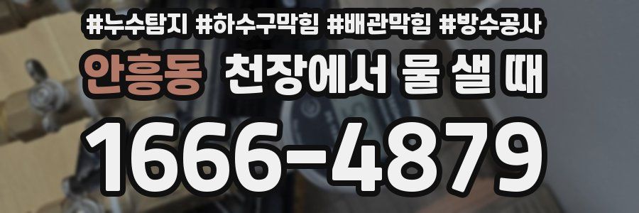 안흥동 천장에서 물 샐 때