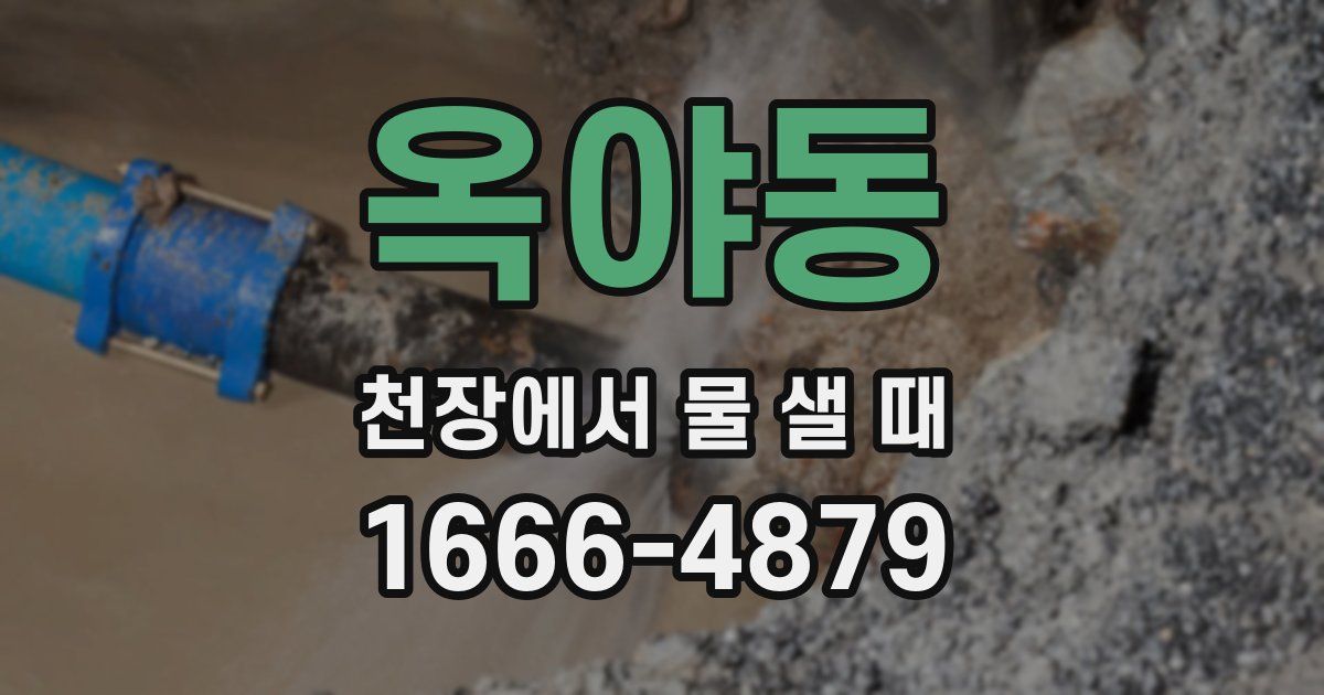 옥야동 천장에서 물 샐 때