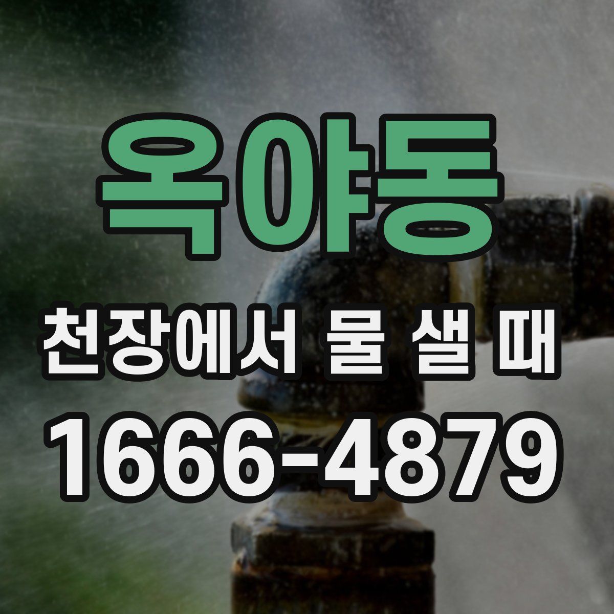 옥야동 천장에서 물 샐 때