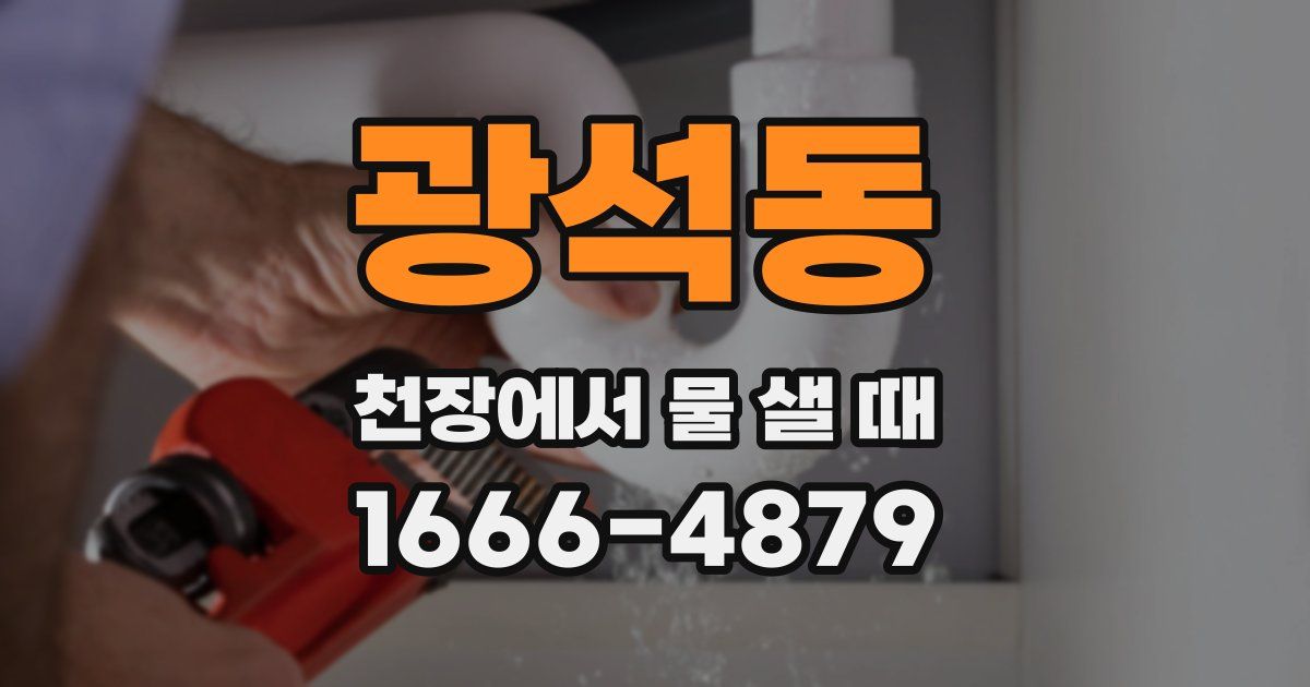 광석동 천장에서 물 샐 때