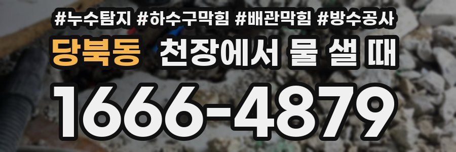 당북동 천장에서 물 샐 때