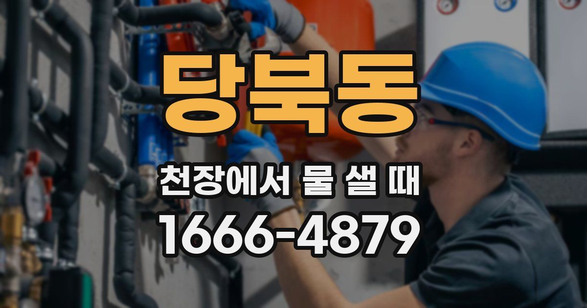 당북동 천장에서 물 샐 때