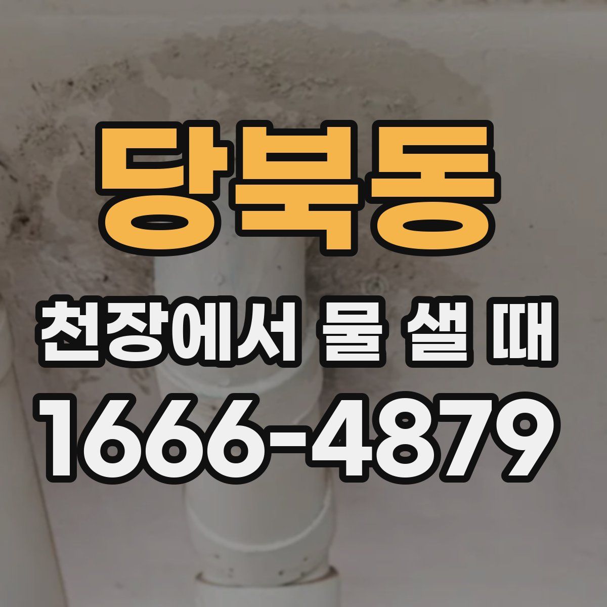 당북동 천장에서 물 샐 때