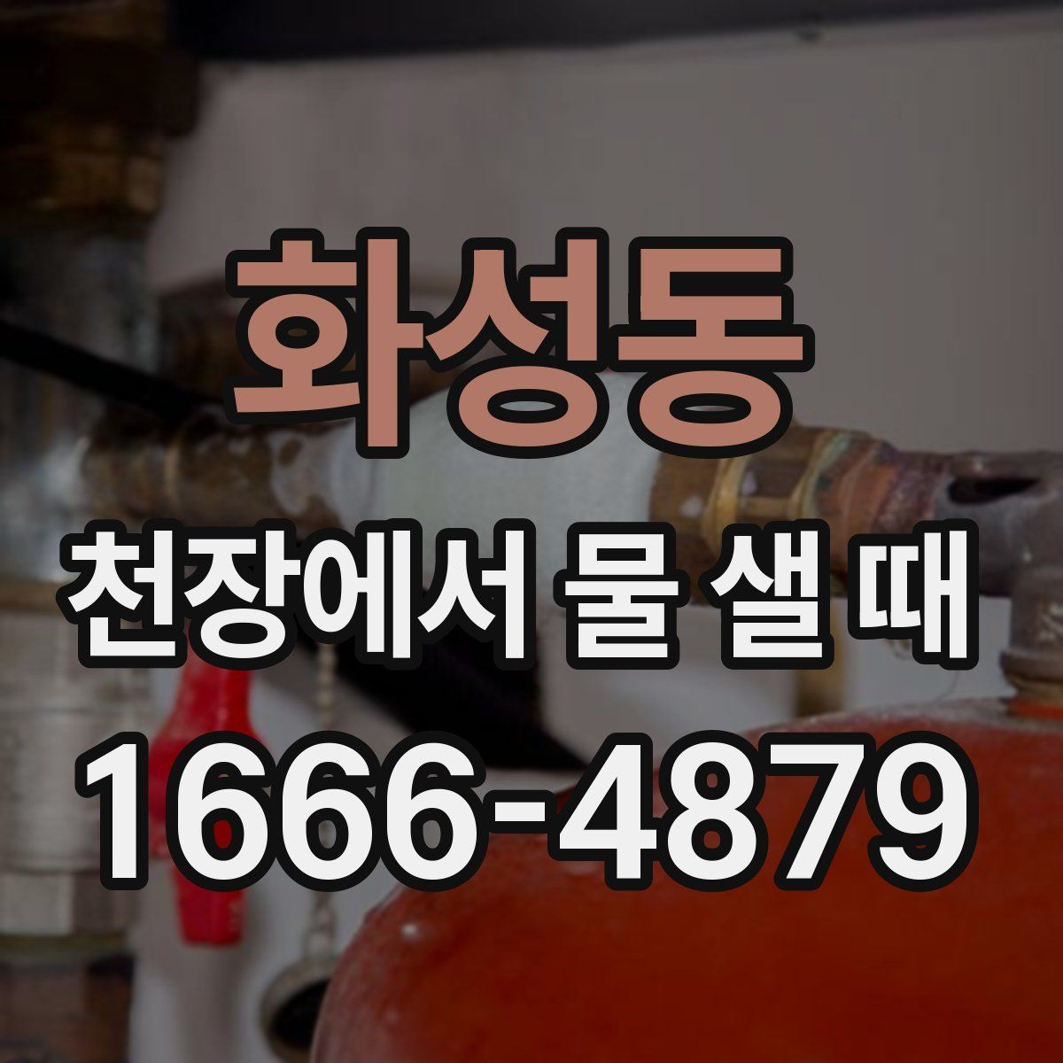 화성동 천장에서 물 샐 때