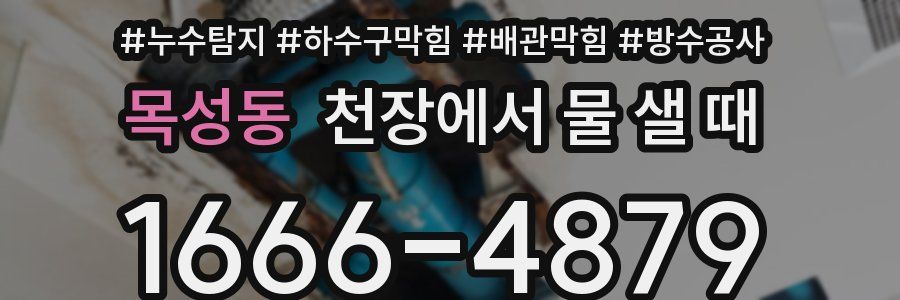 목성동 천장에서 물 샐 때