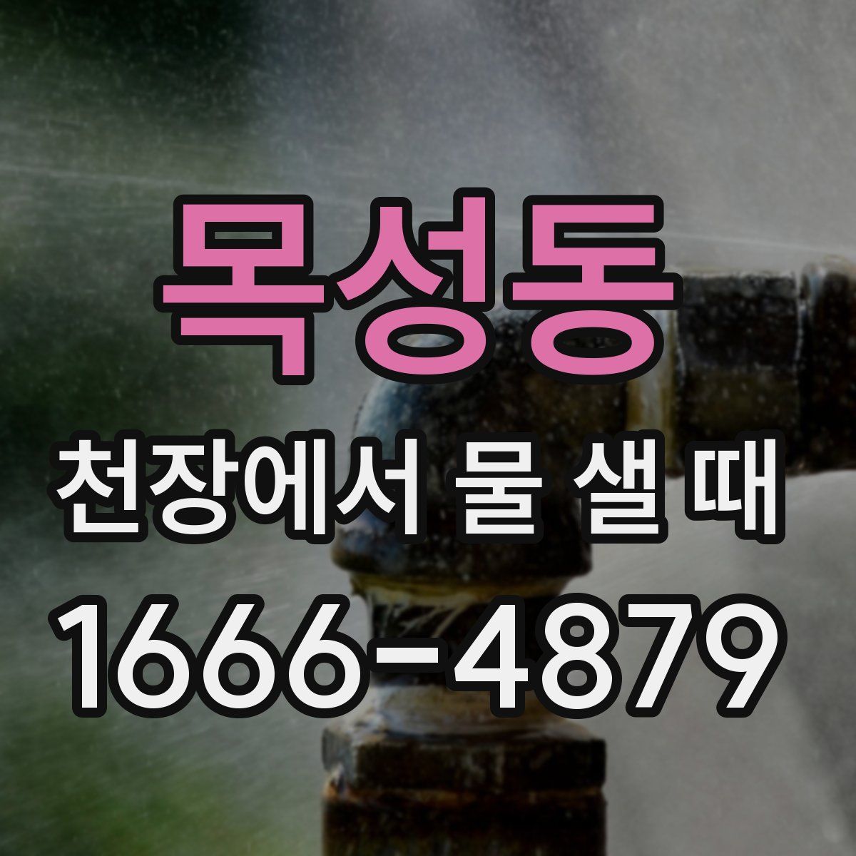 목성동 천장에서 물 샐 때