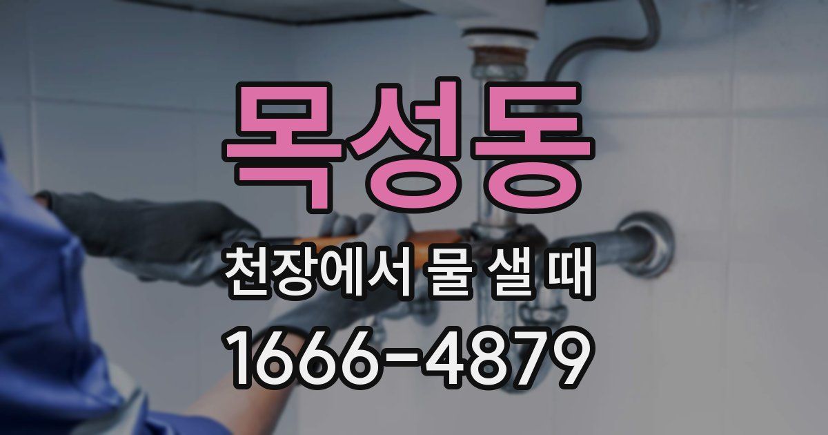 목성동 천장에서 물 샐 때