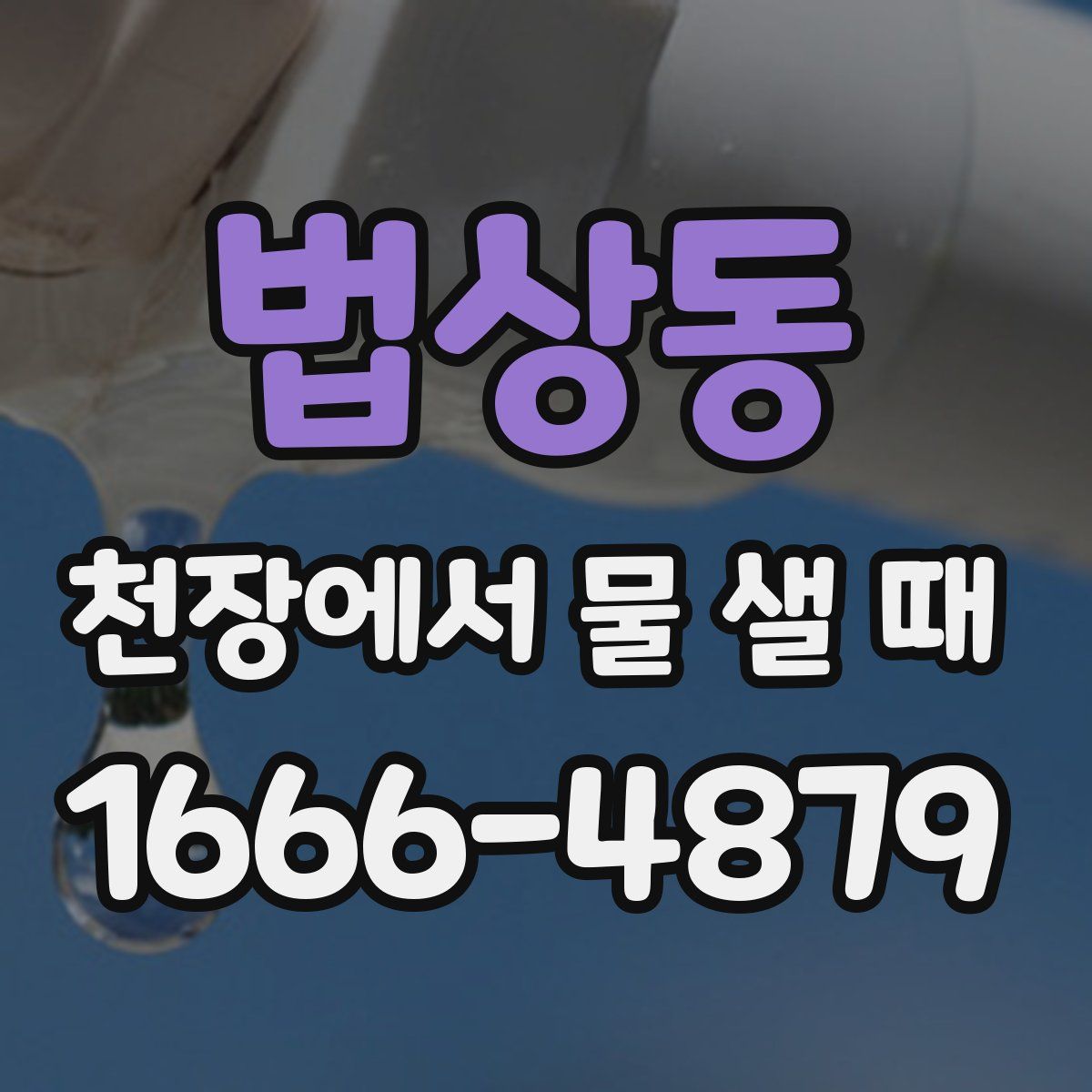 법상동 천장에서 물 샐 때