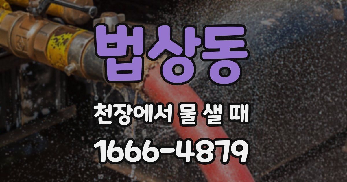 법상동 천장에서 물 샐 때