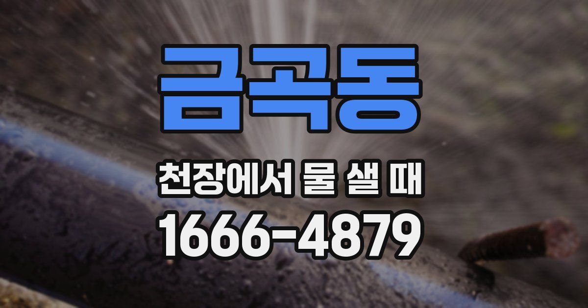 금곡동 천장에서 물 샐 때