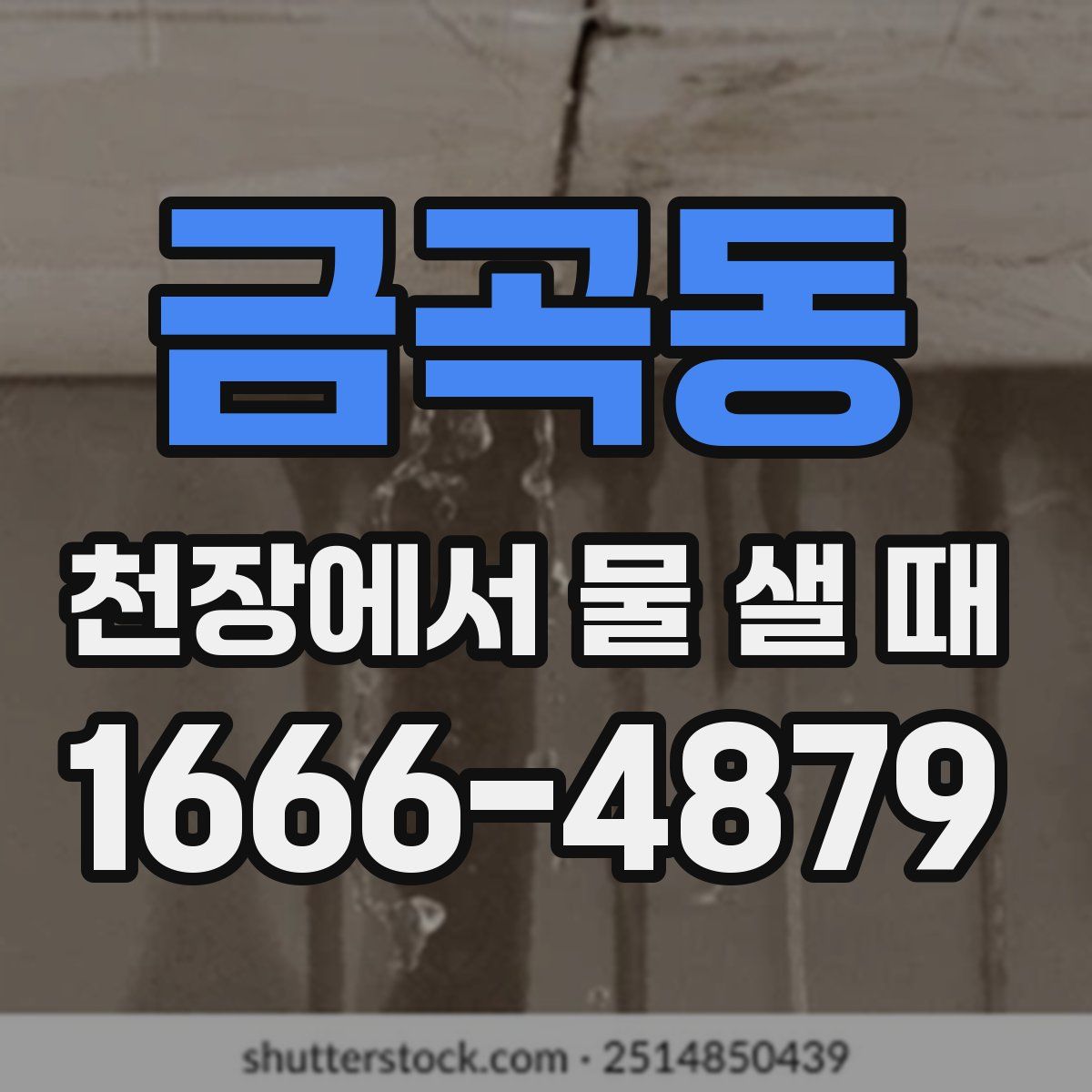 금곡동 천장에서 물 샐 때