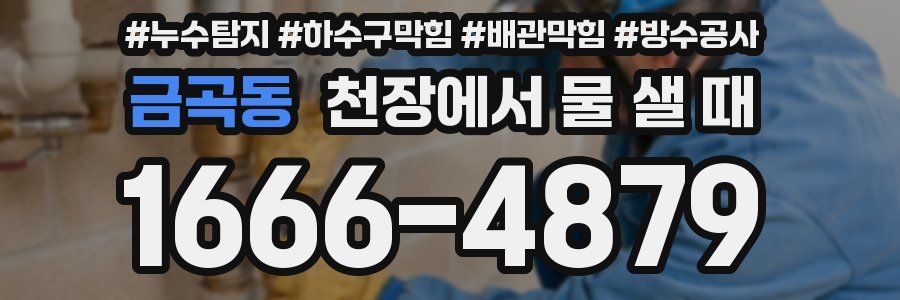 금곡동 천장에서 물 샐 때