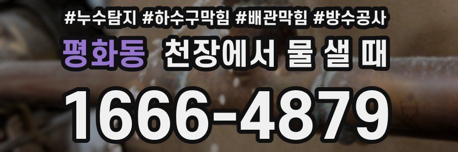 평화동 천장에서 물 샐 때