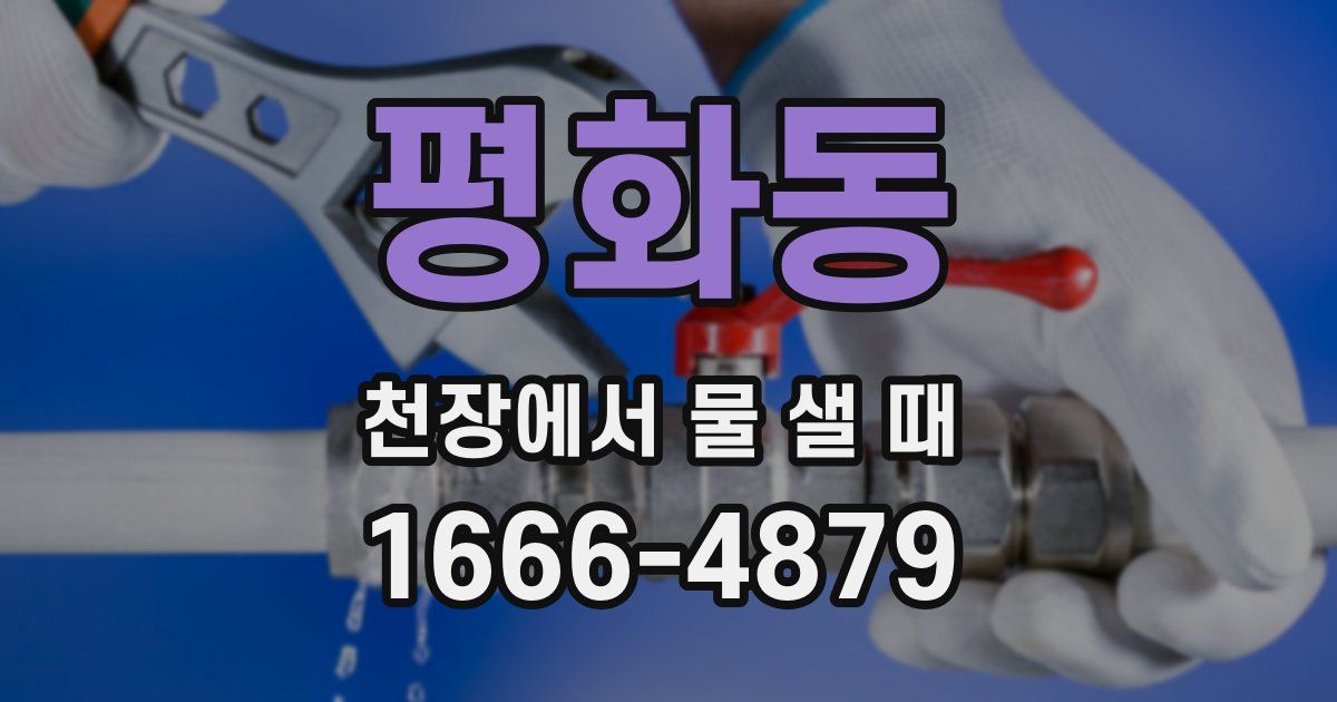 평화동 천장에서 물 샐 때