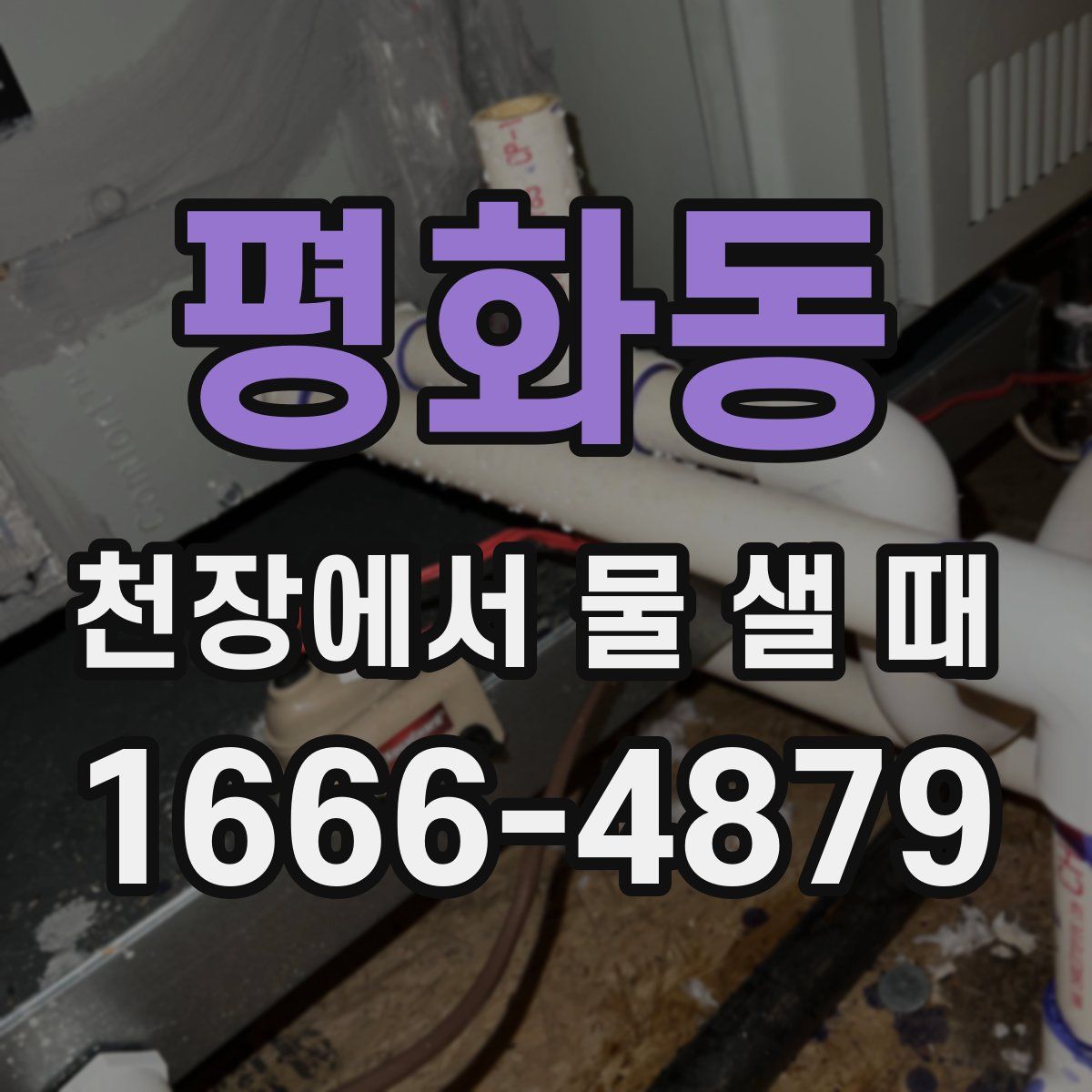 평화동 천장에서 물 샐 때