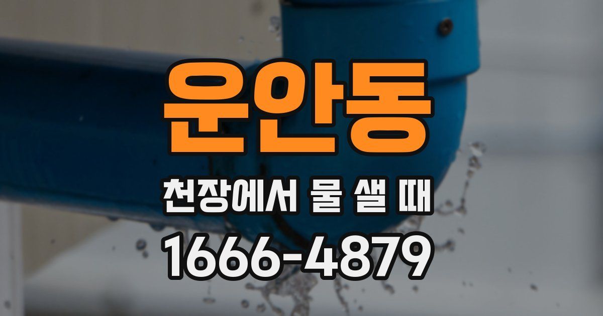 운안동 천장에서 물 샐 때