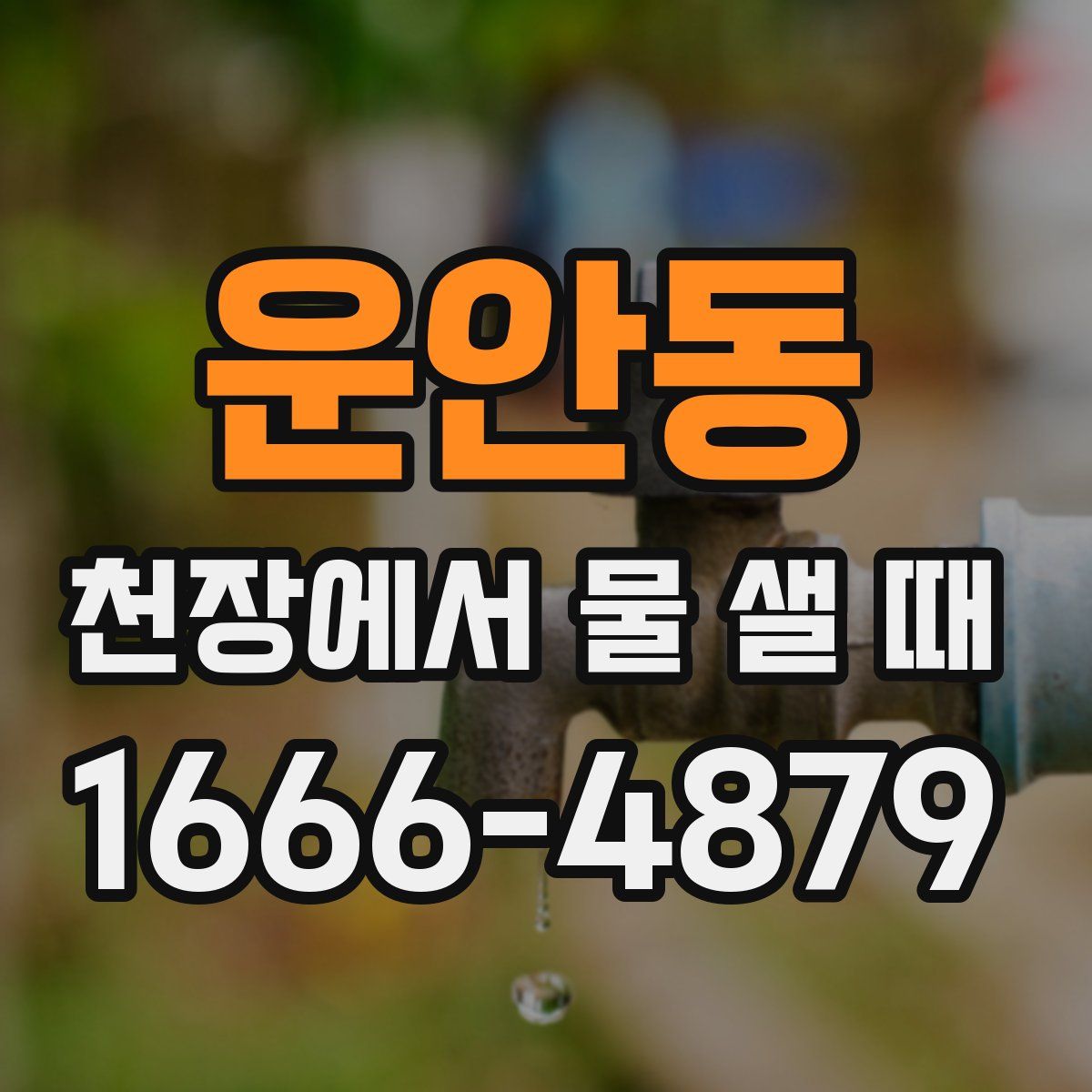 운안동 천장에서 물 샐 때
