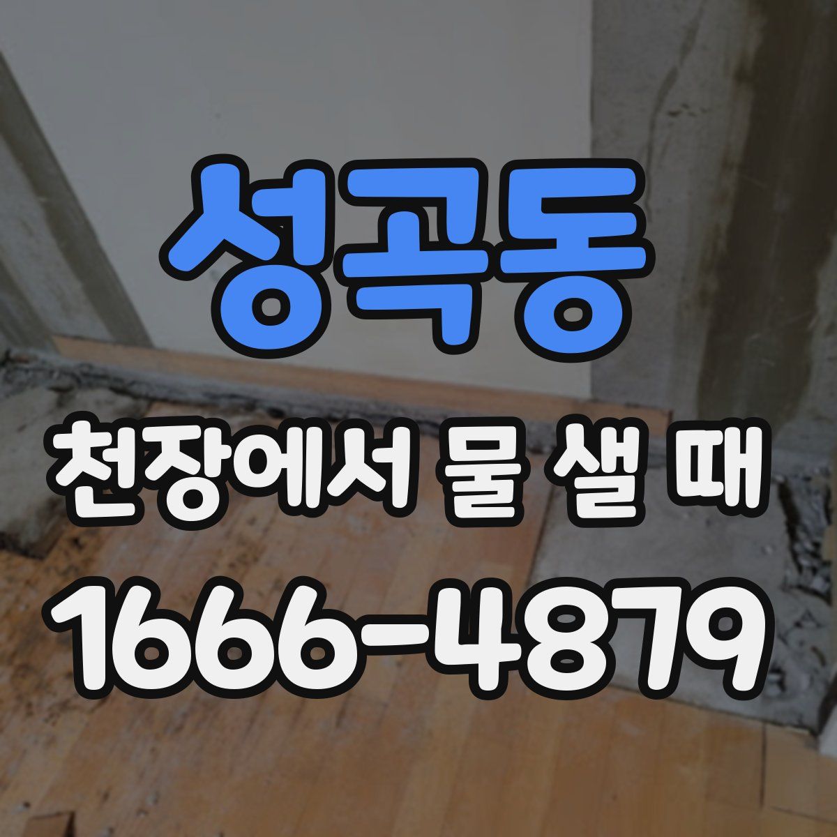 성곡동 천장에서 물 샐 때