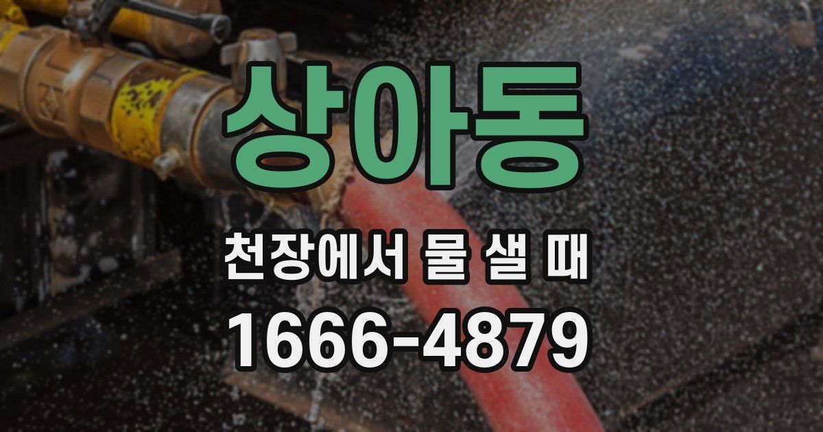 상아동 천장에서 물 샐 때