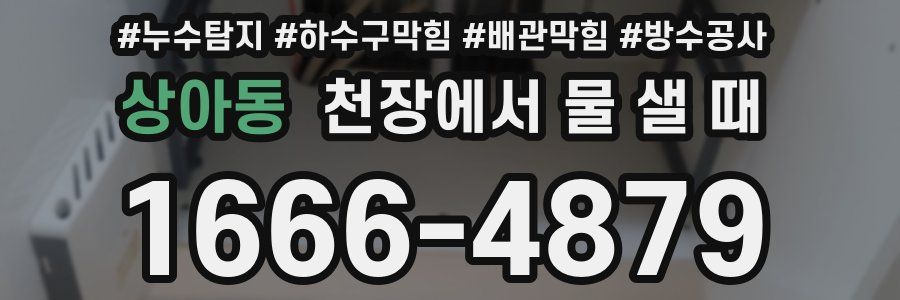 상아동 천장에서 물 샐 때