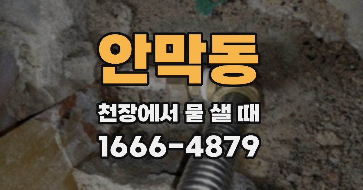 안막동 천장에서 물 샐 때