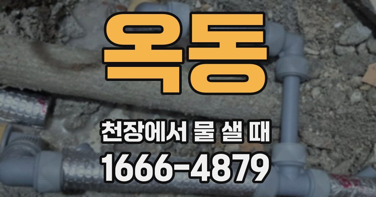 옥동 천장에서 물 샐 때