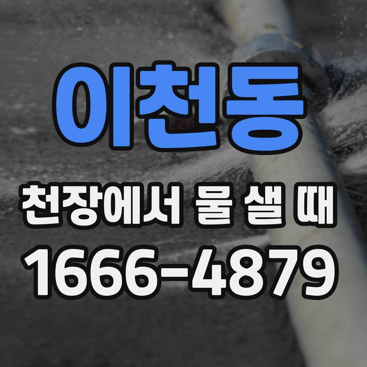 이천동 천장에서 물 샐 때
