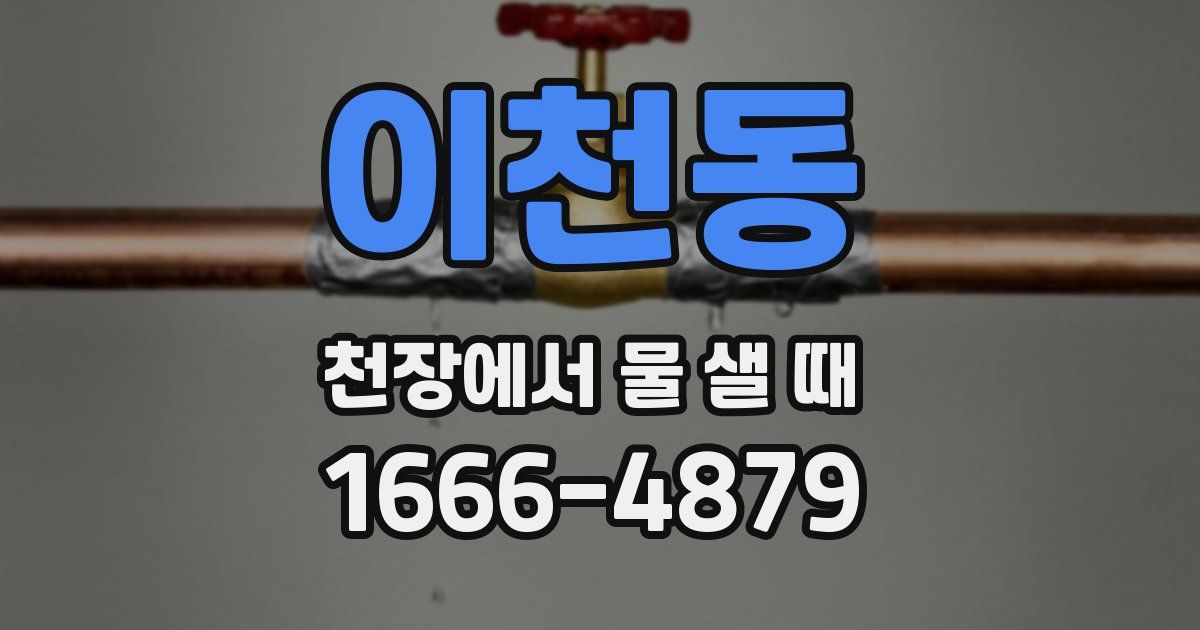 이천동 천장에서 물 샐 때