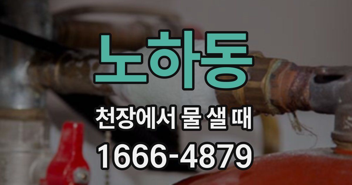 노하동 천장에서 물 샐 때