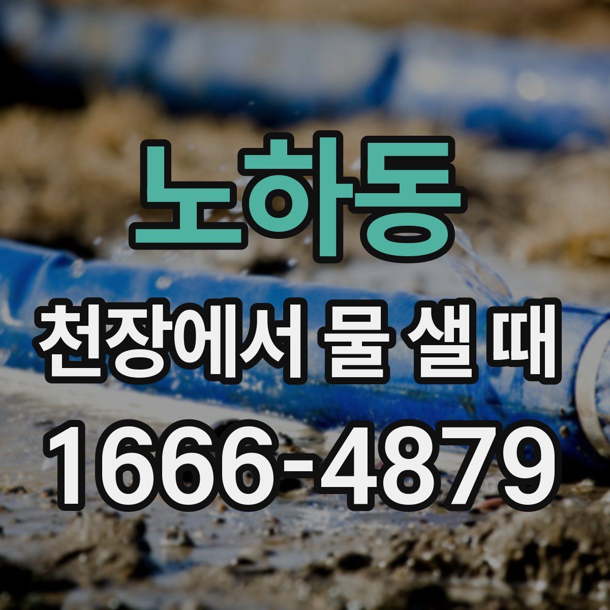 노하동 천장에서 물 샐 때