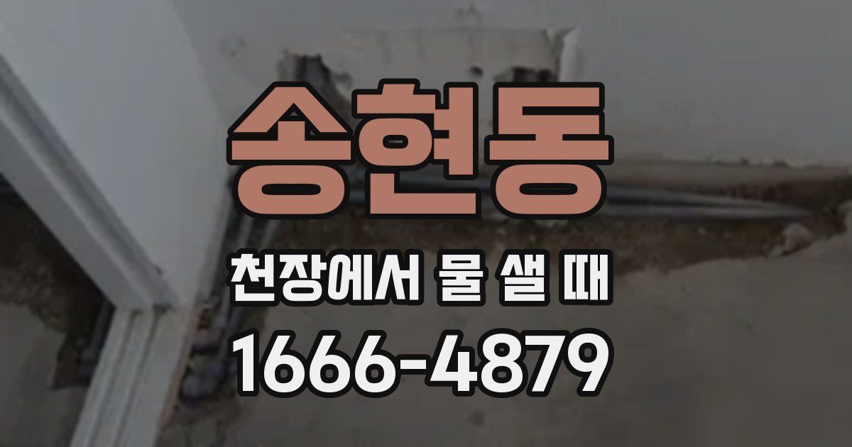 송현동 천장에서 물 샐 때