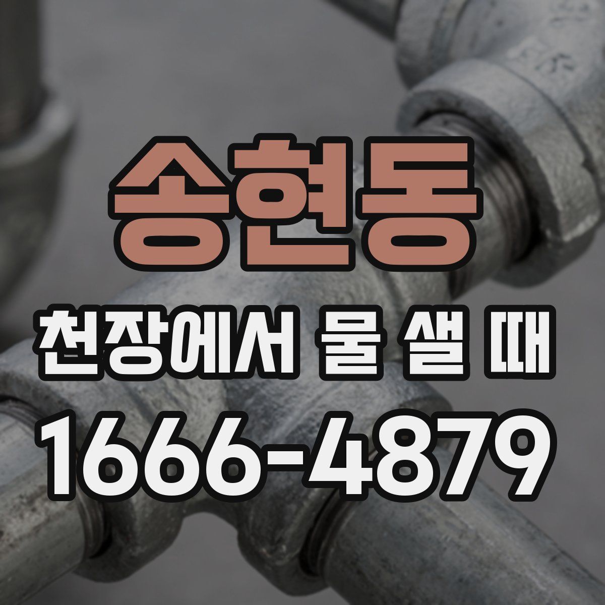 송현동 천장에서 물 샐 때