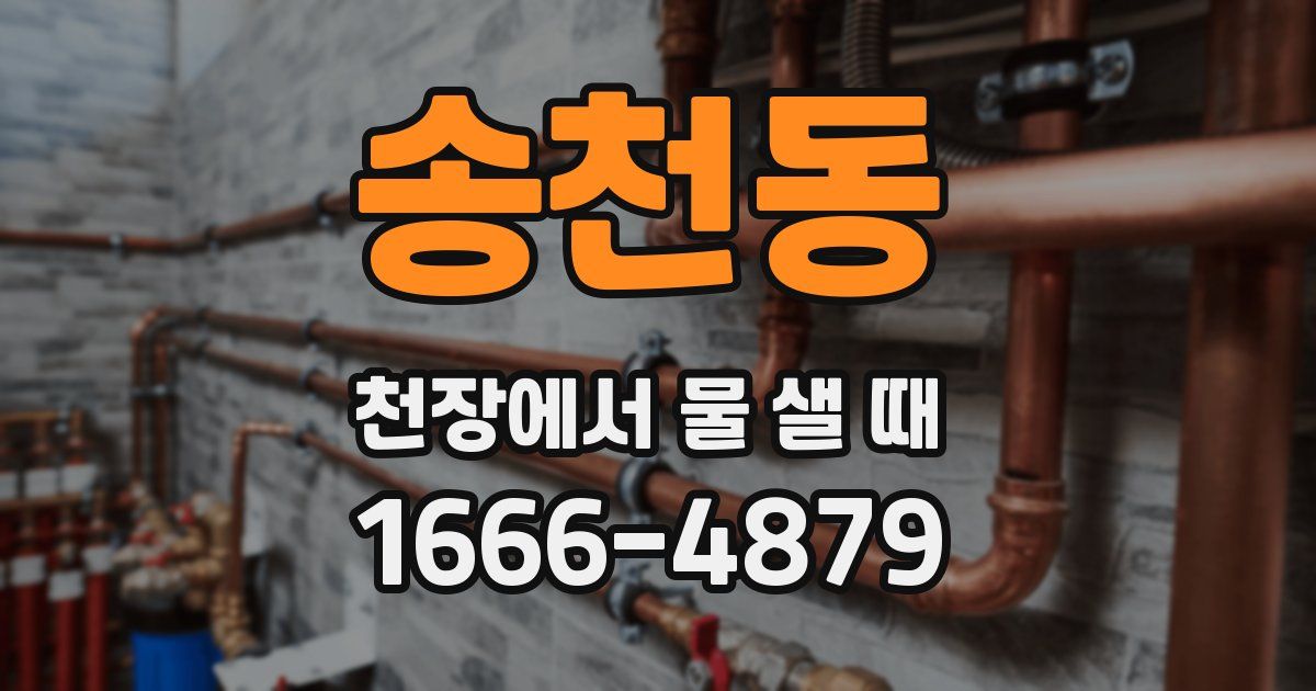 송천동 천장에서 물 샐 때