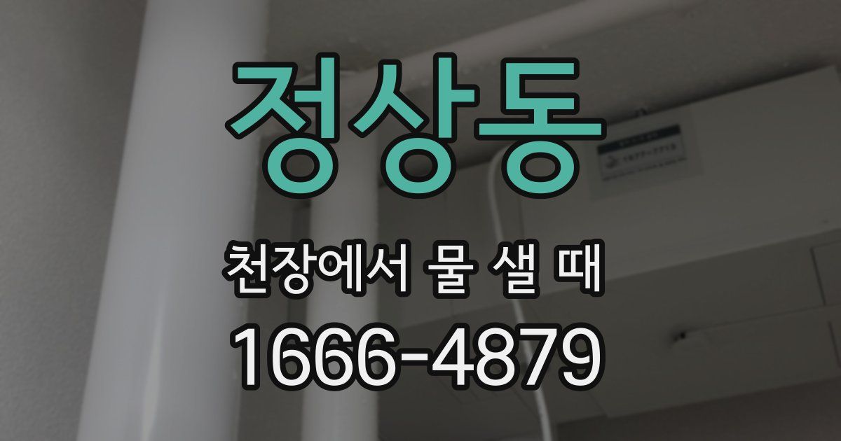 정상동 천장에서 물 샐 때