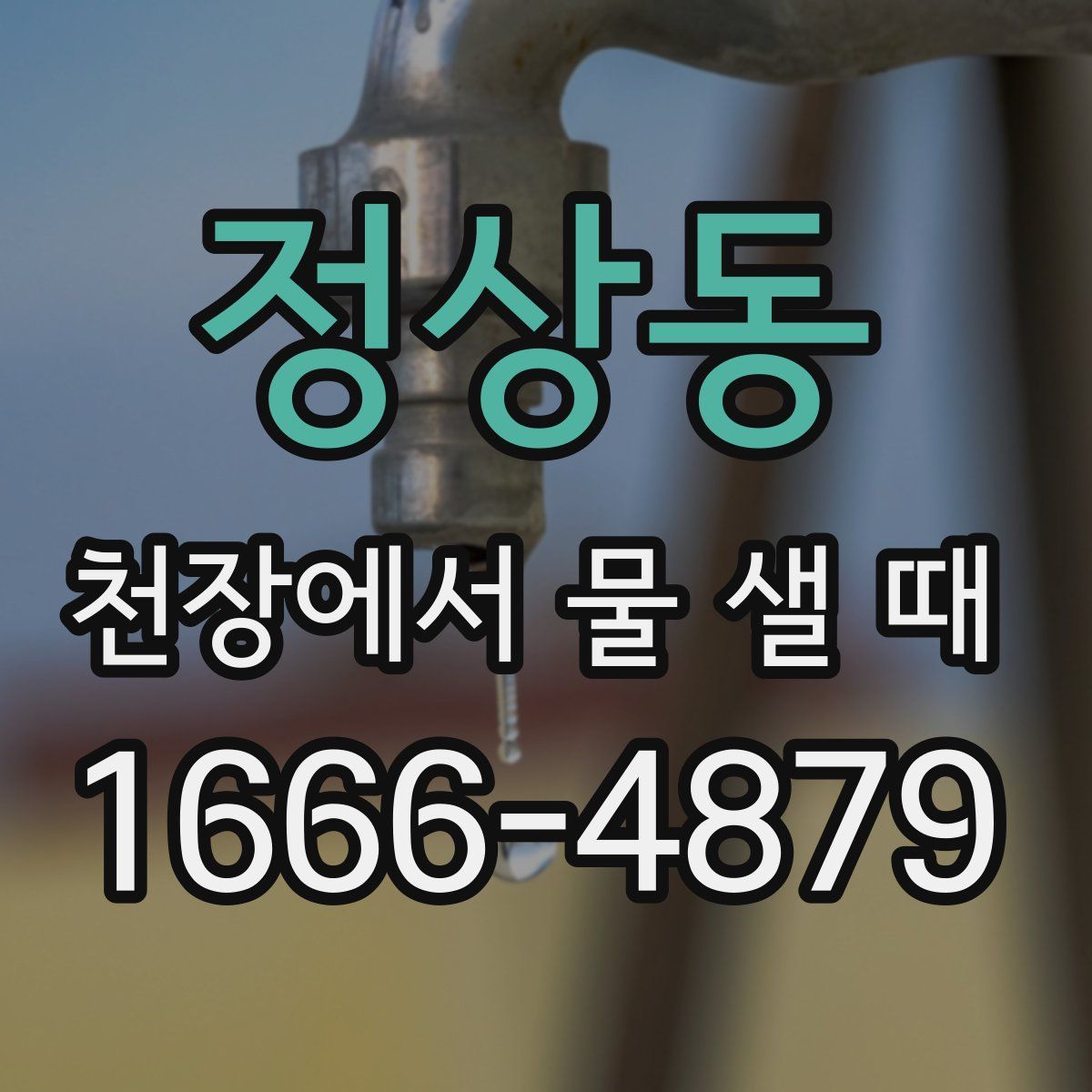 정상동 천장에서 물 샐 때