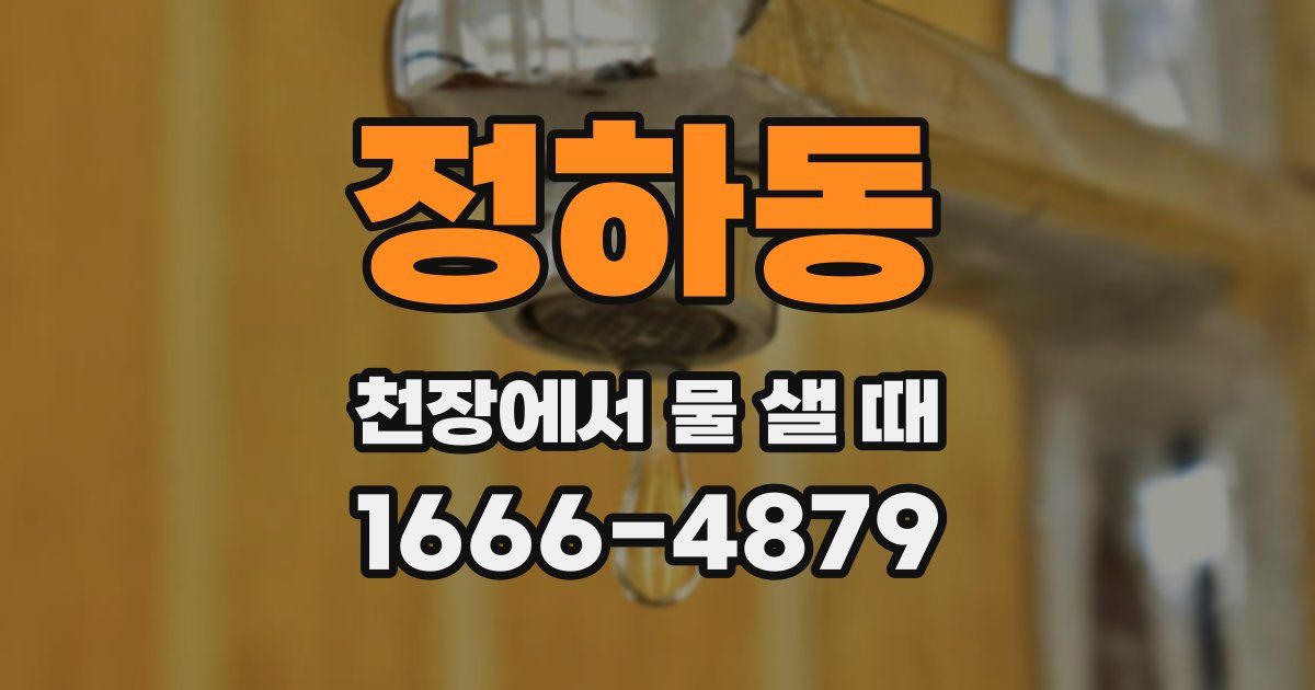 정하동 천장에서 물 샐 때