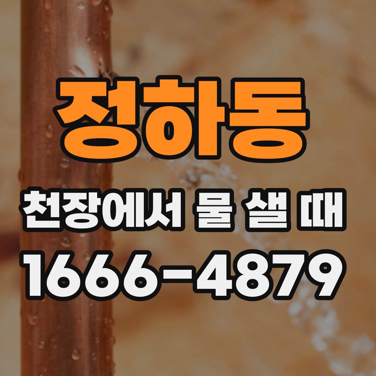 정하동 천장에서 물 샐 때